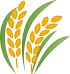 527-5273554_wheat-clipart-svg-transparent-rice-icon-png-download